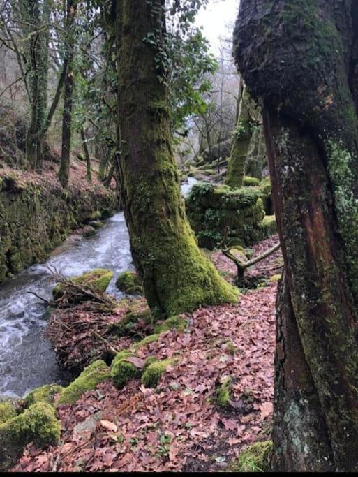 Casinha Estrela Da Encosta - Geres Villa Vieira do Minho Dış mekan fotoğraf